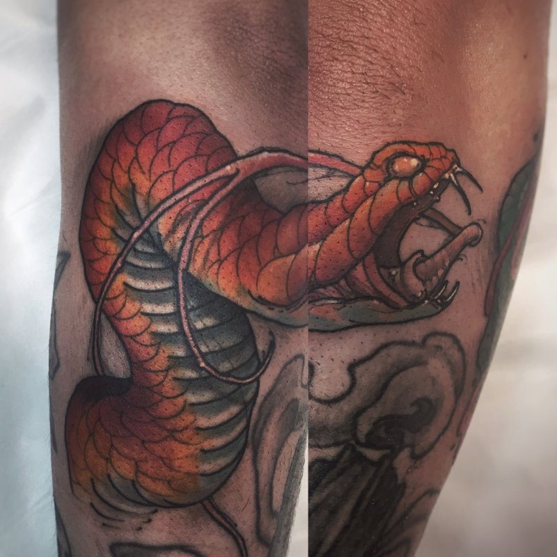 Snake Tattoo