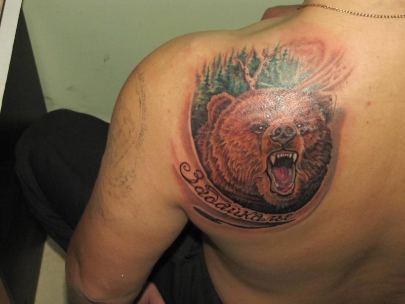 Talkin beaver