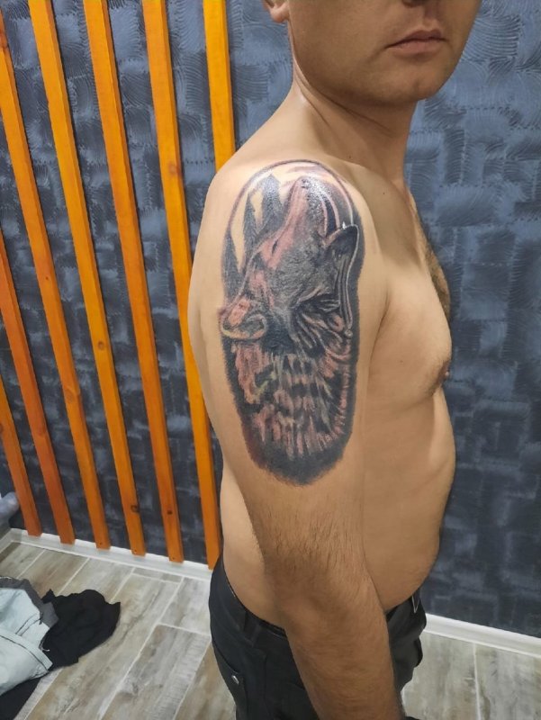 Тату бобер