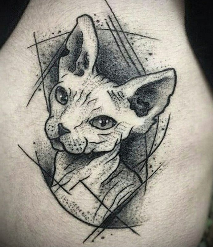 Изящная кошка тату