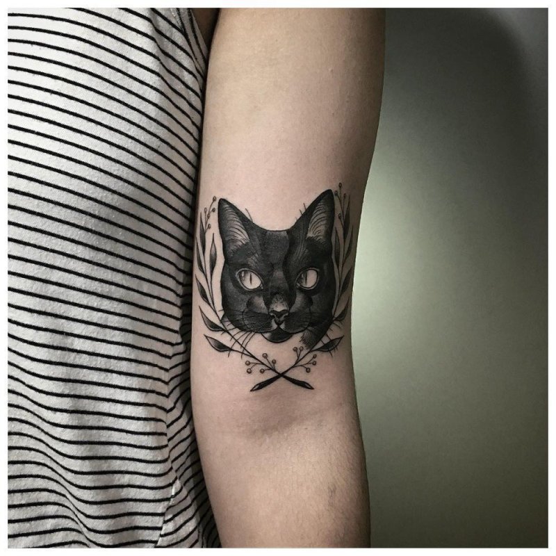 Кот тату Графика