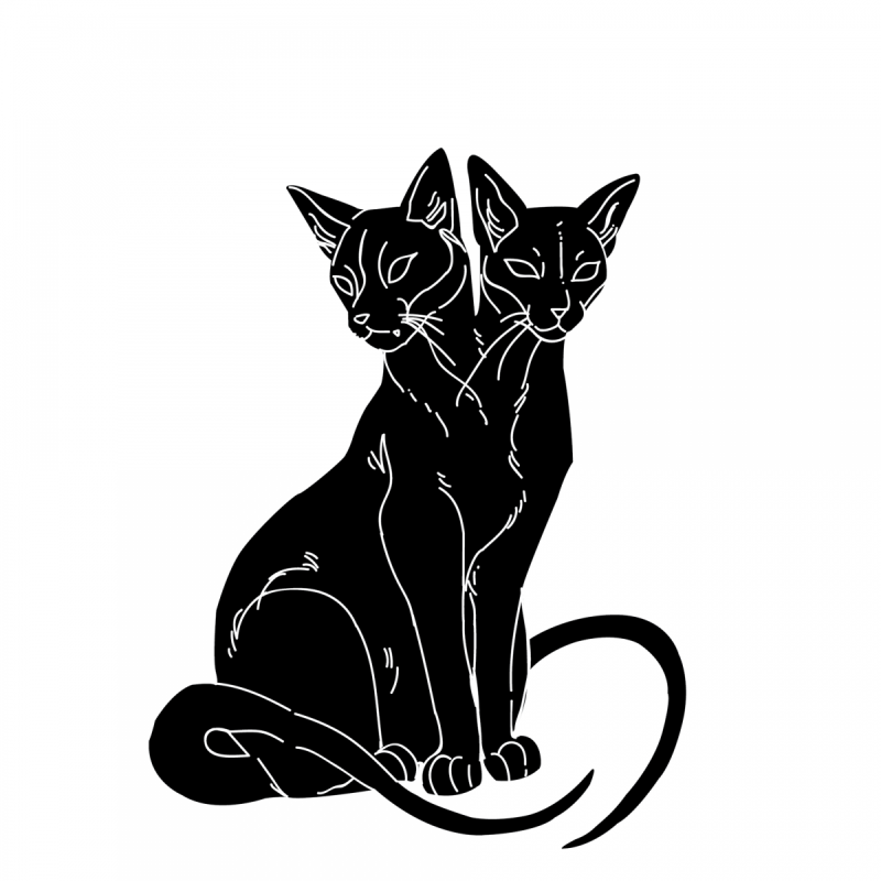 Черная кошка эскиз