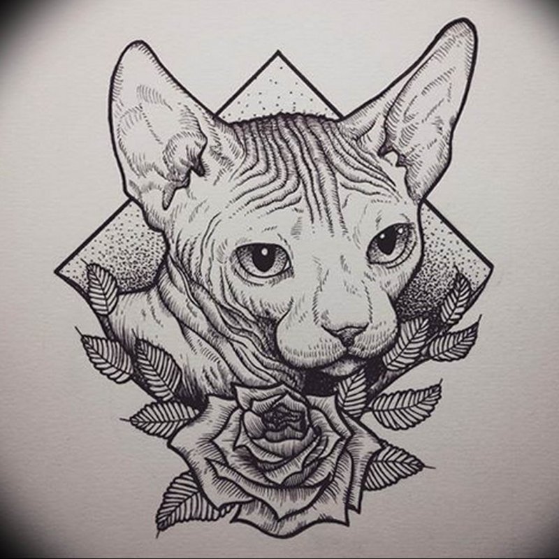 Тату черная кошка