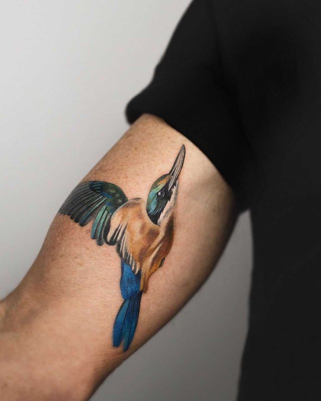 Kingfisher Bird тату