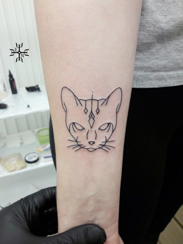 Тату кошка