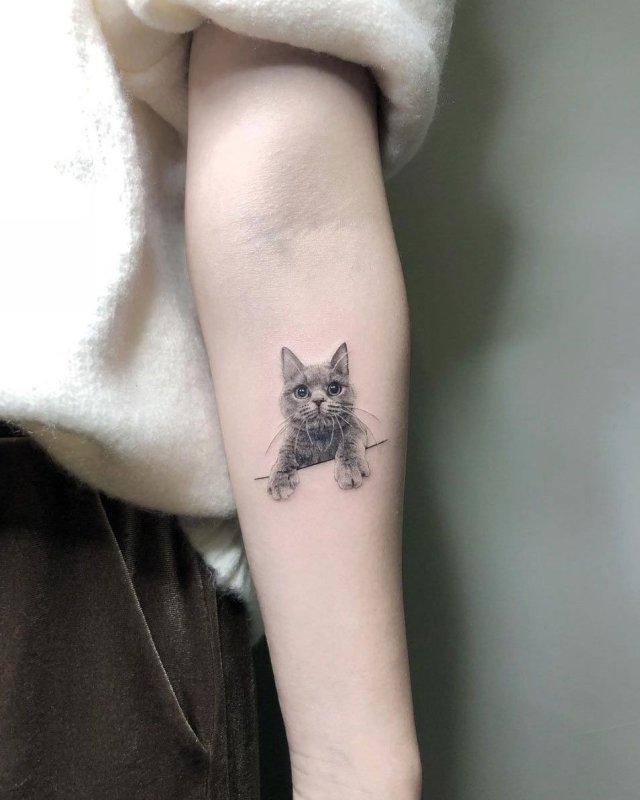 Тату кошка маленькая