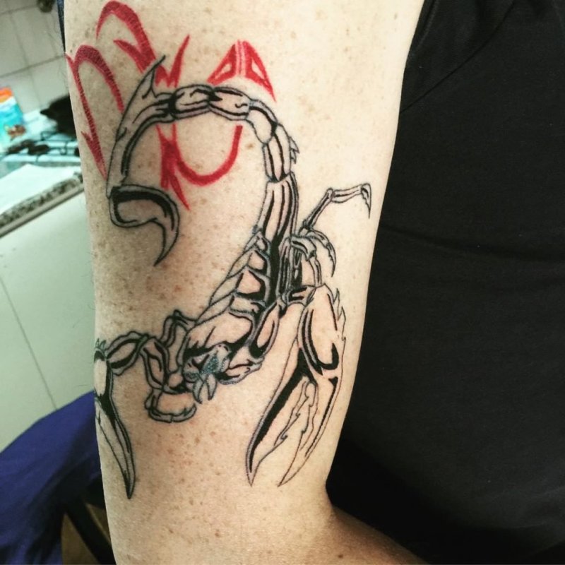 Тату на руке знак зодиака Скорпион