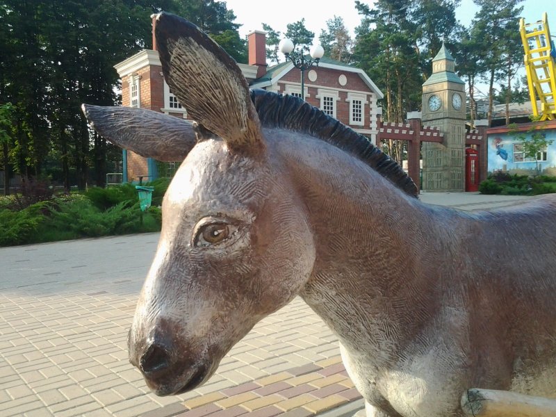 Мул фото маленький