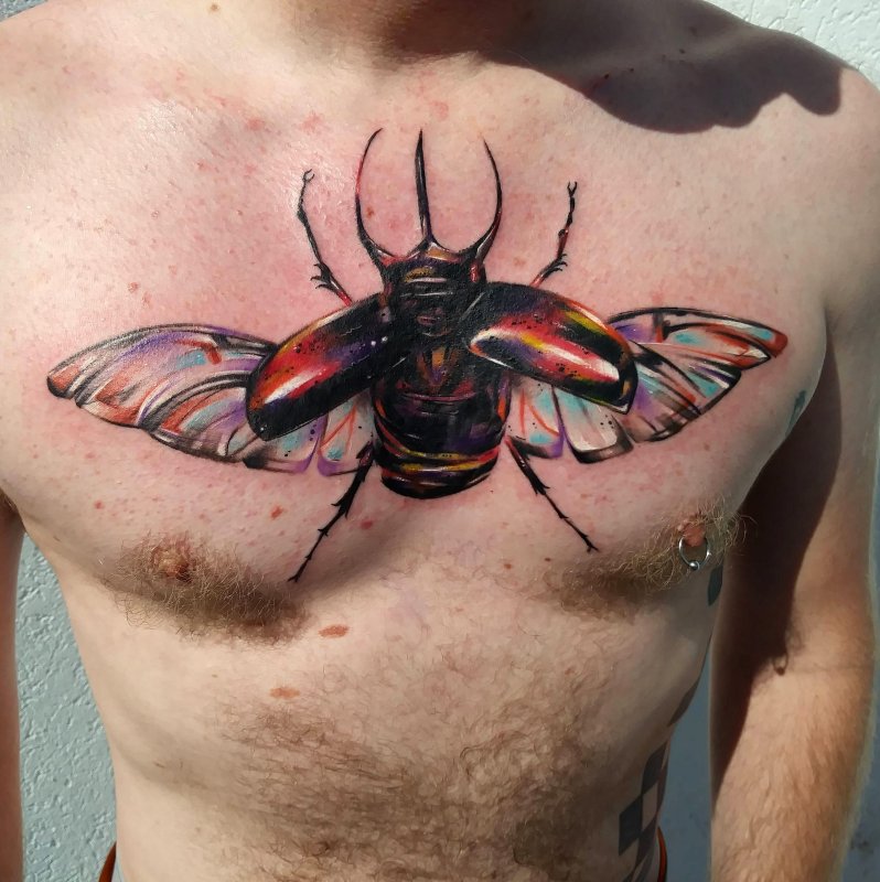 Chalcosoma Chiron Жук