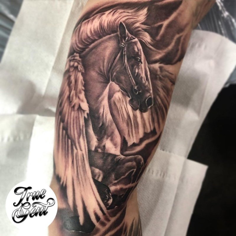 Black and Grey Tattoo Пегас