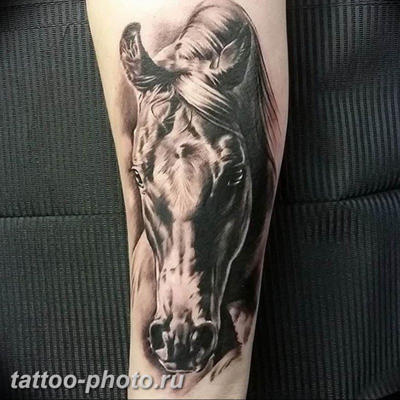 Тату лошадь