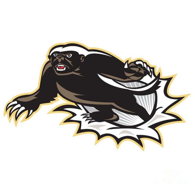 Honey Badger vector