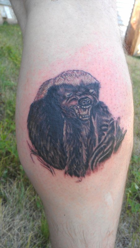 Honey Badger тату