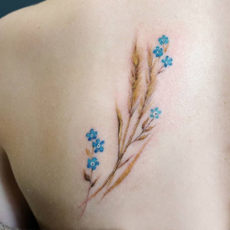 Cornflower tumblr