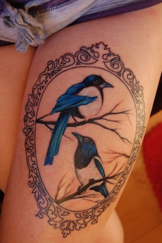 Magpie in Flight drawing