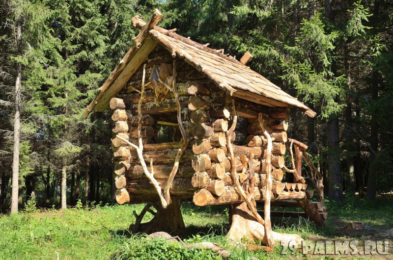 Избушка на курьих ножках в Костромской области