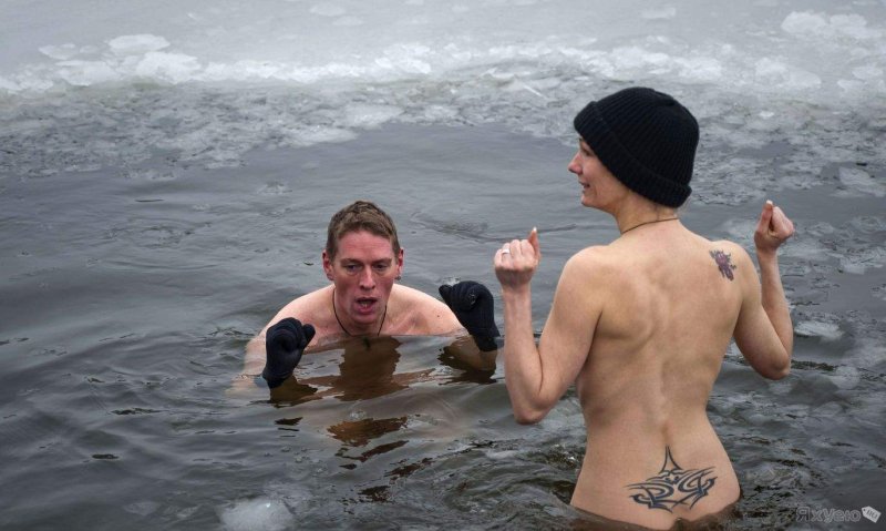 Морж на льду