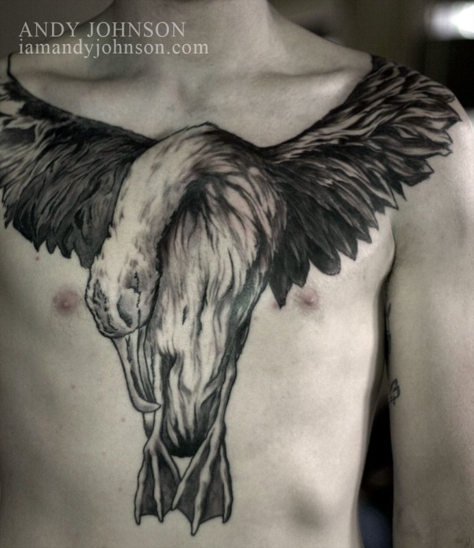 Albatros Tattoo