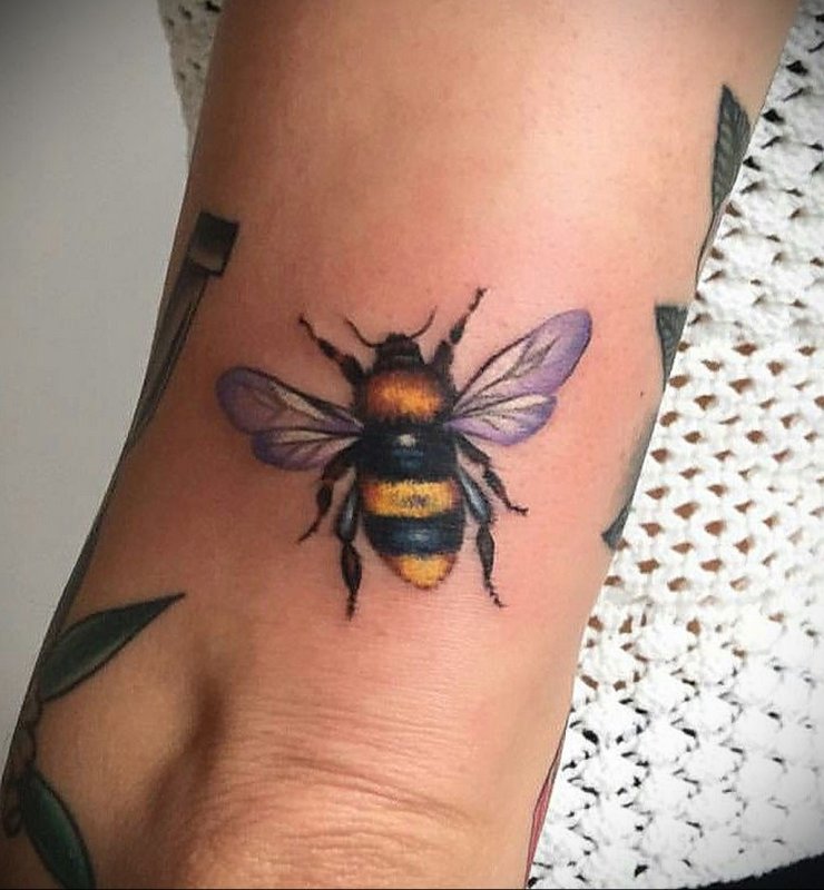 Warble Fly
