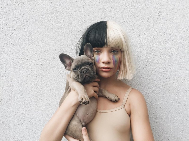 Sia актриса