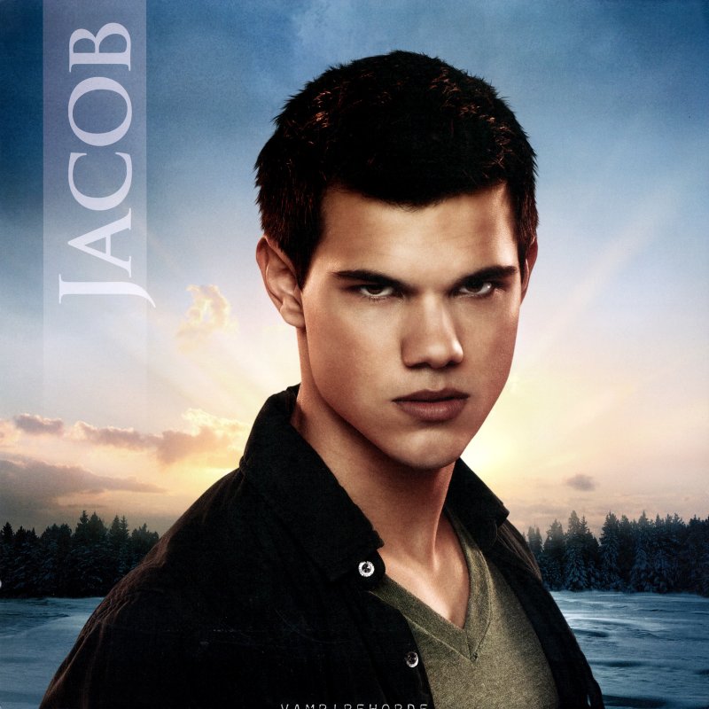 Тейлор Лотнер 2008