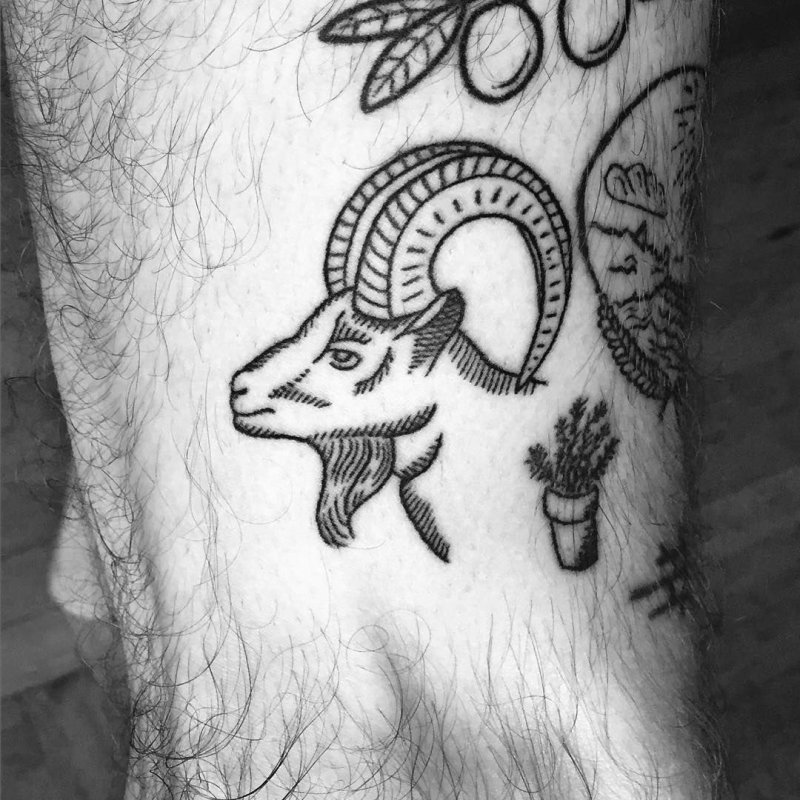 Татуировка Goat