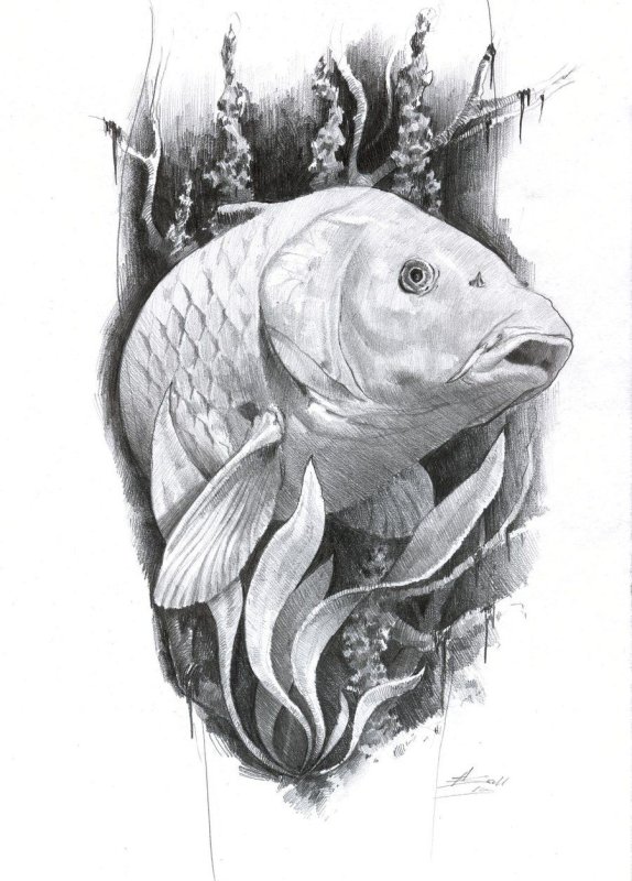 Эскиз рыбы