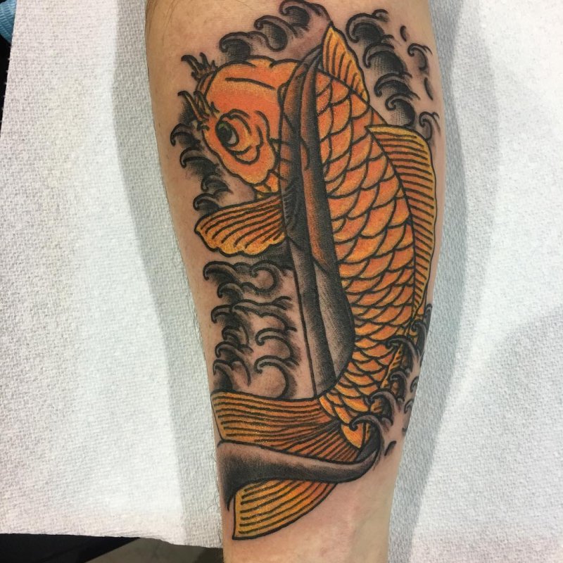 Koi Fish Symbolism means