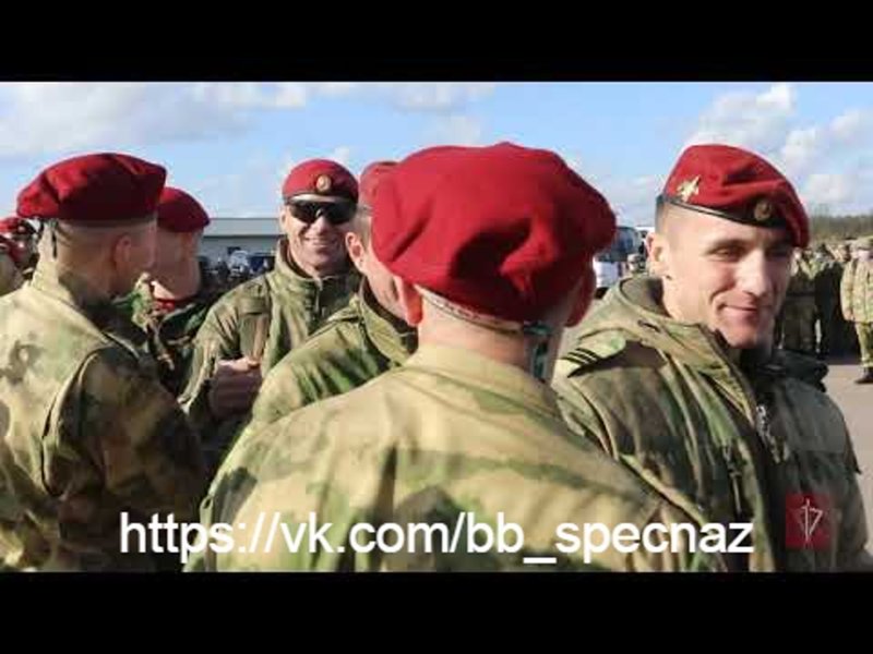 Спецназ краповый берет