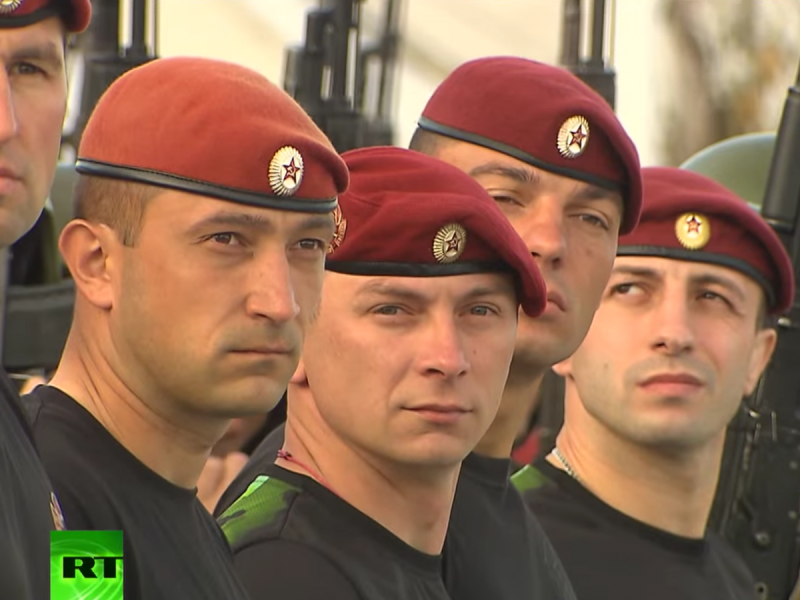 Осн Витязь краповый берет