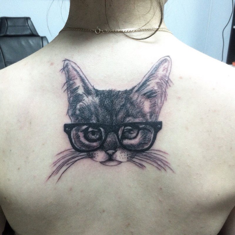 Кот в очках тату