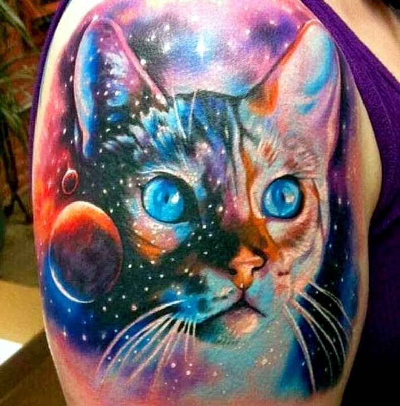 Тату кот и космос