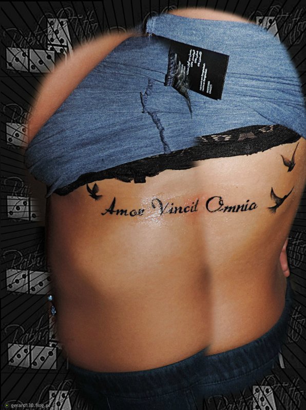 Amor Omnia vincit зона бикини тату