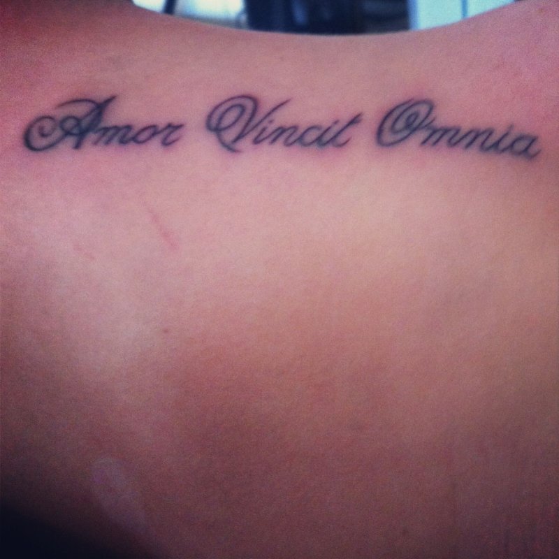 Amor vincit Omnia тату