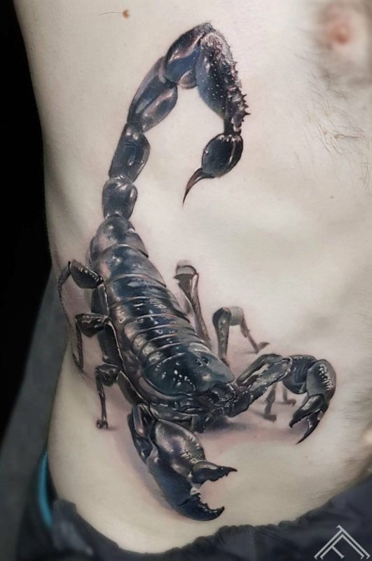 Знак зодиака Scorpions tatu
