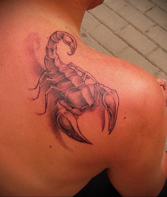 Скорпион Cover up