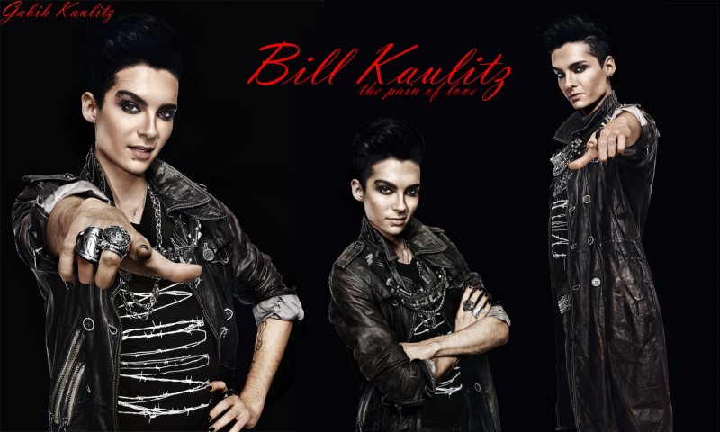 Билл и том Каулитц 2010