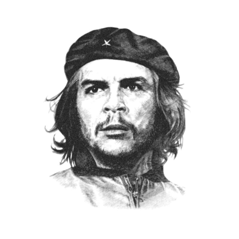 Портрет че Гевары