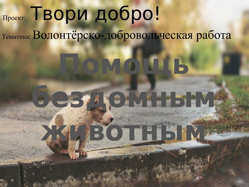 Тату на спине мужские надписи