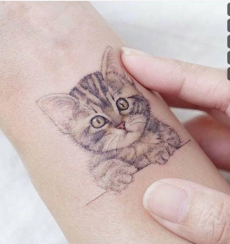 Маленькие тату кошки