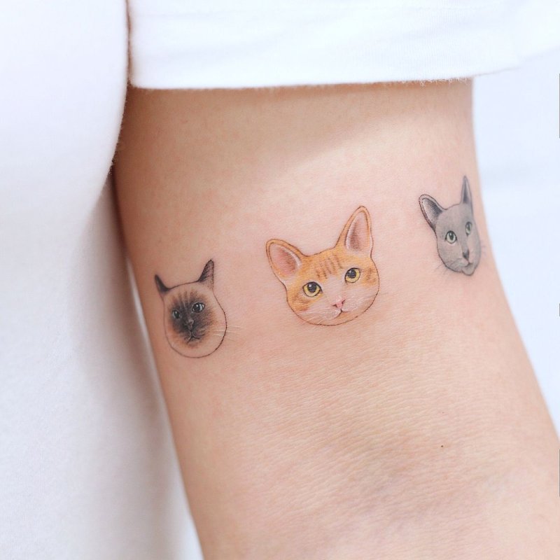 Маленькие тату кошки