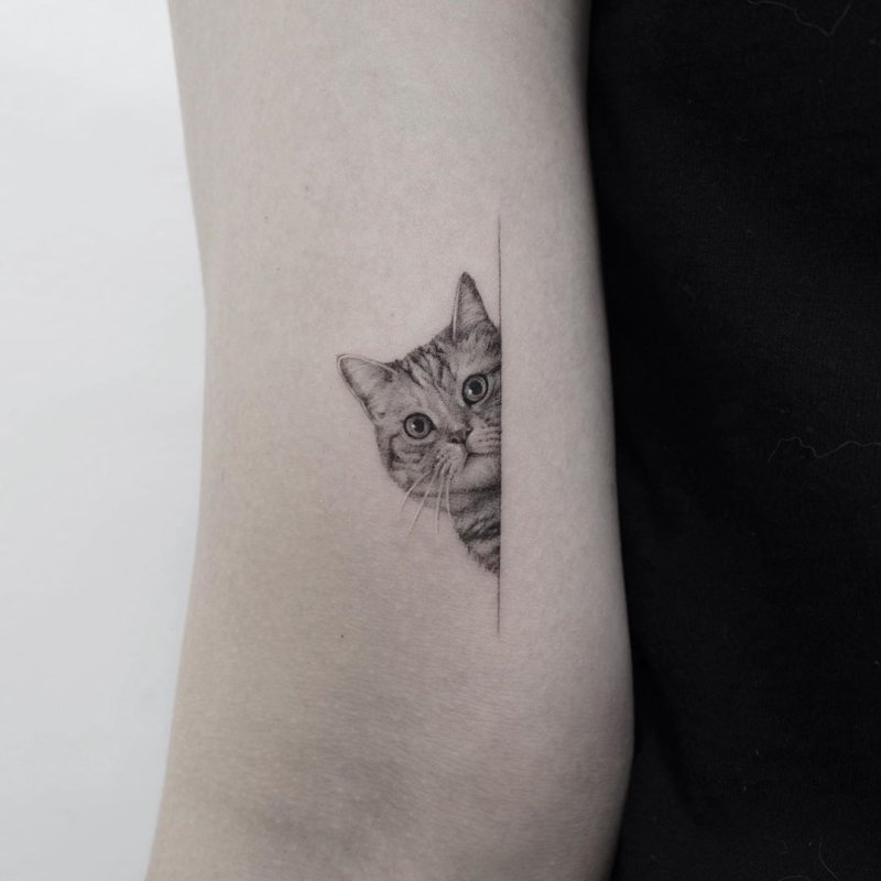 Морда кота тату запястье