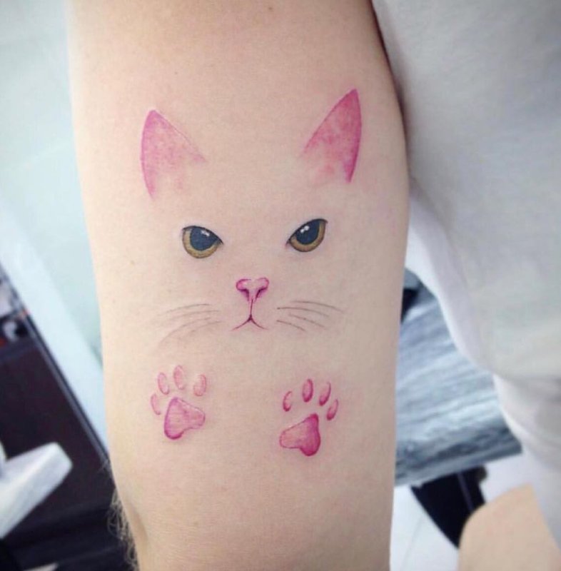 Мини тату котенок