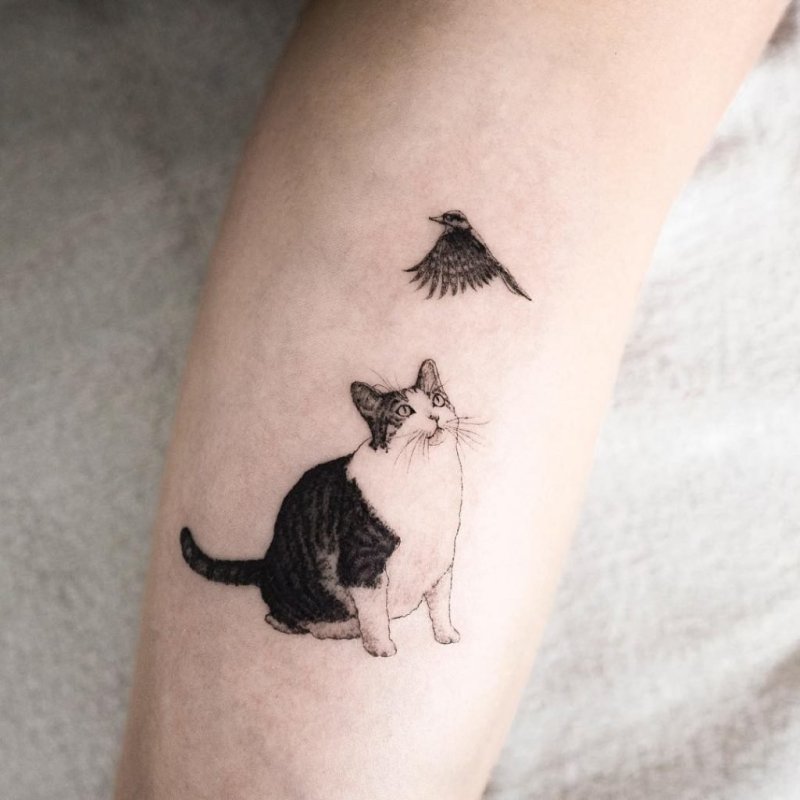 Минималистичные коты тату