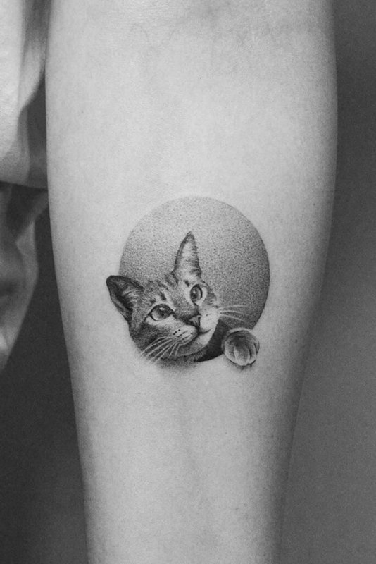Татуировка кота на руке