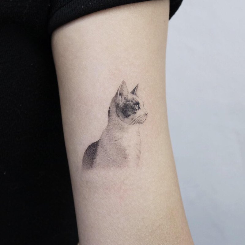 Мини тату кошка