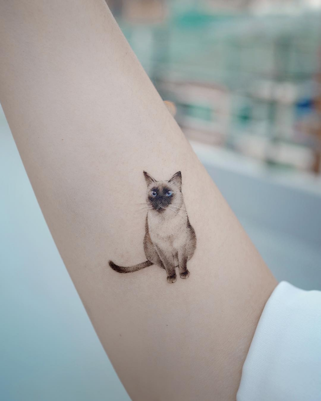 Тату сиамский кот