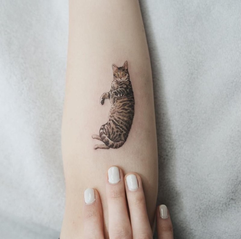 Тату для девушек маленькие кошки