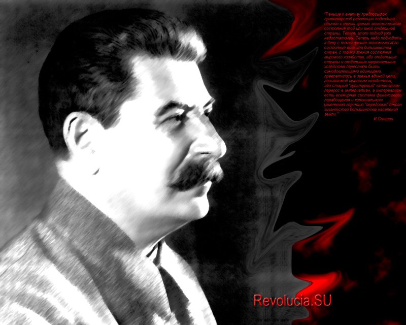 Иосиф Виссарионович Сталин в профиль