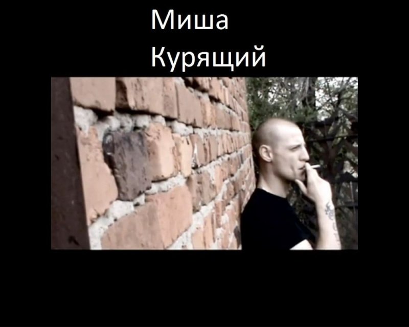Миша Маваши питбуль